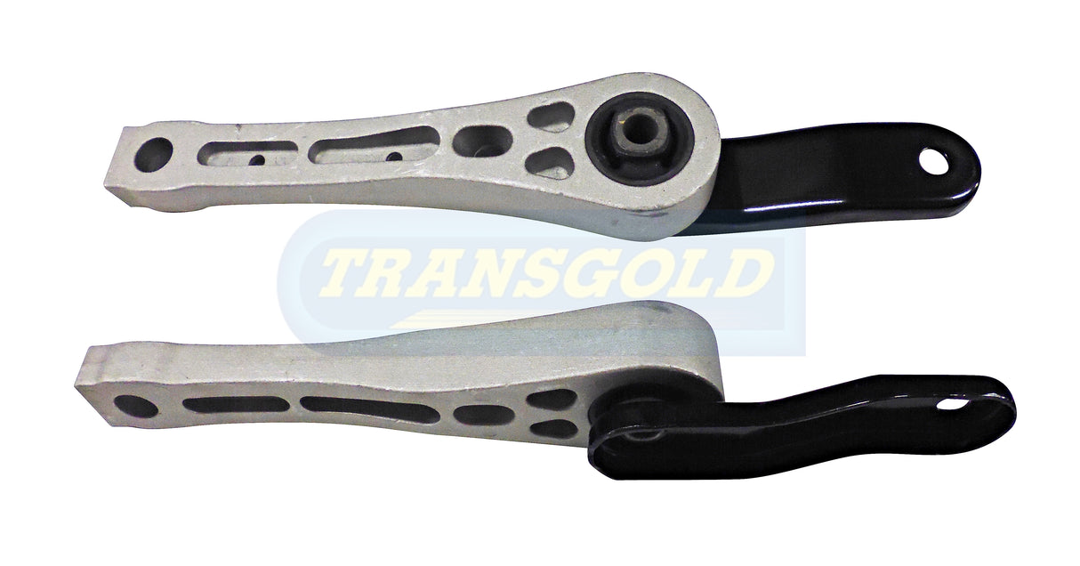 Rear Bar Fits Audi A3 / VW Golf TEM3636 - Transgold
