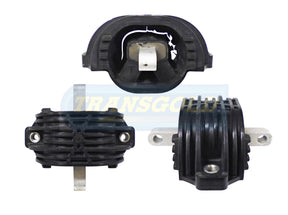 Engine Mount Fits BMW 5 (F10), 7 (F02) Rear TEM3722 - Transgold