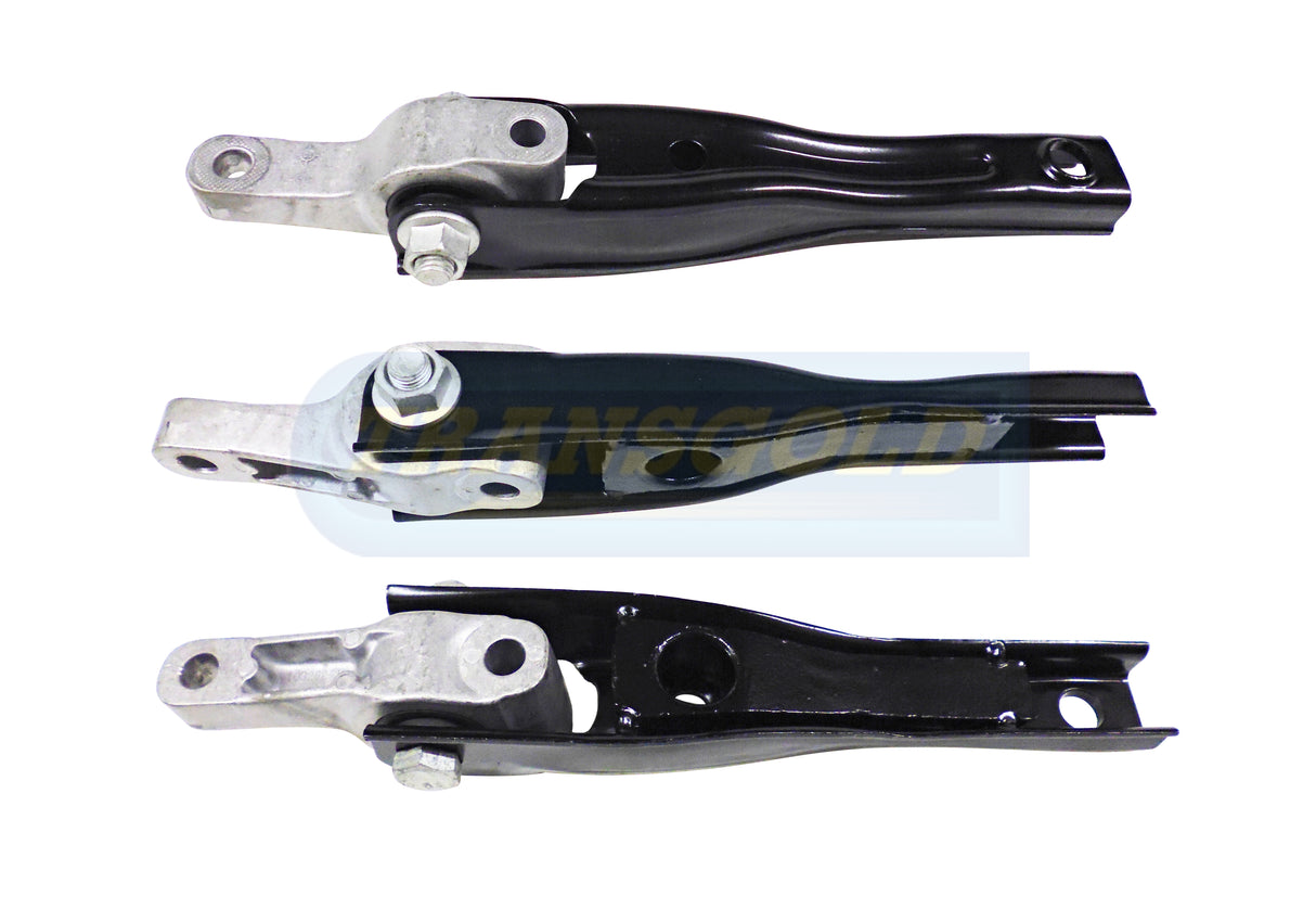 Rear Bar Fits Audi / VW Q3 / Tiguan, Golf, Passat TEM3725 - Transgold