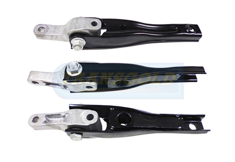 Rear Bar Fits Audi / VW Q3 / Tiguan, Golf, Passat TEM3725 - Transgold