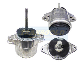 Engine Mount Fits Porsche Panamera (970) 4.8L Front TEM3731 - Transgold