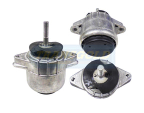 Engine Mount Fits Porsche Panamera (970) 4.8L Front TEM3732 - Transgold