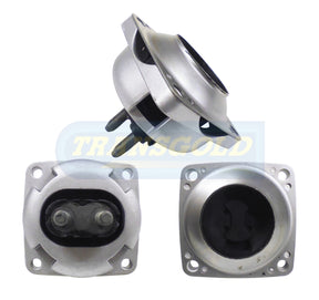 Engine Mount Fits Mercedes ML / GLE X166 / W166 Rear TEM3737 - Transgold