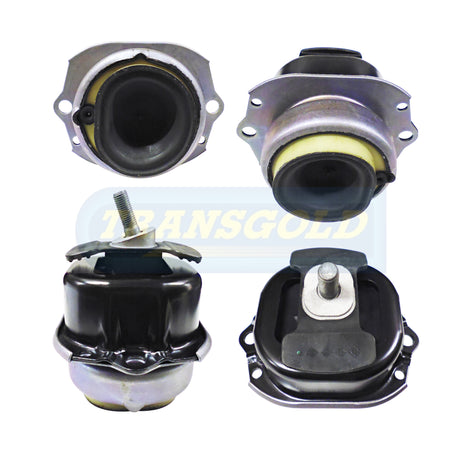 Engine Mount Fits BMW X5, X6 (E70/71, F15/16) 4.4L Front TEM3741 - Transgold