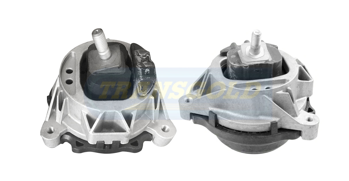 Engine Mount Fits BMW 1/3 Series 2011-2015 Front Right-Hand TEM3827 - Transgold