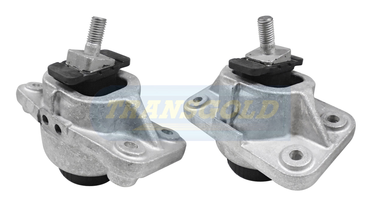 Engine Mount Fits Land Rover / Range Rover 3.0L/5.0L Front LH / RH TEM3838 - Transgold