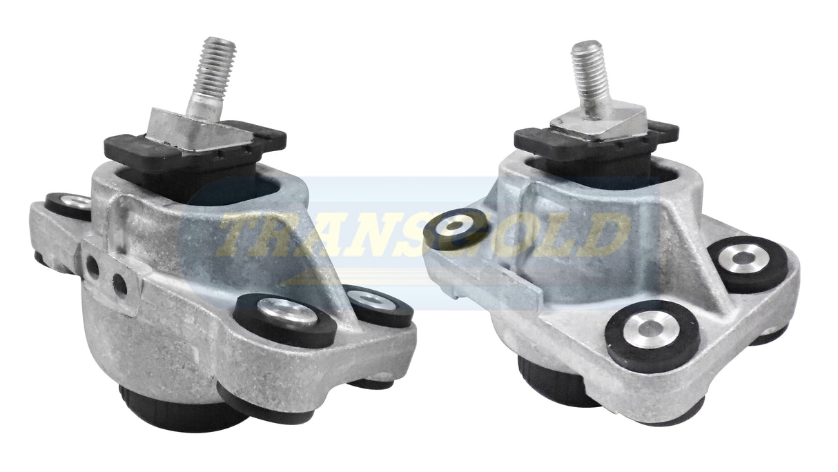 Engine Mount Fits Land Rover / Range Rover Diesel Models Front LH / RH TEM3839 - Transgold