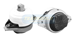 Engine Mount Fits Mercedes (W166) ML63, GLE GLS 63 Front Left TEM3886 - Transgold