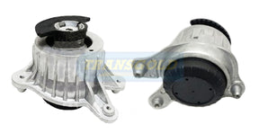 Engine Mount Fits Mercedes E-class (W213) Front Left TEM3899 - Transgold