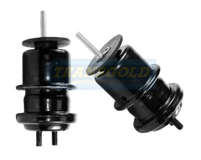 Engine Mount Fits Subaru Liberty / Outback Front Left/Right TEM3909 - Transgold