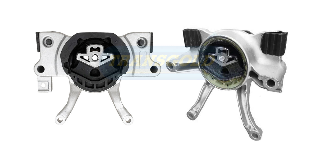 Engine Mount Fits BMW 5/6/7 Series Rear TEM3938 - Transgold