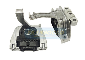 Engine Mount Fits Audi Q3 / VW Tiguan Front Right TEM3988 - Transgold