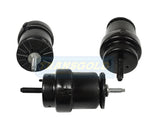 Engine Mount Front Right-Hand Fits Ford Ranger 19-on TEM4043 - Transgold | Universal Auto Spares