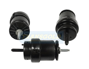 Engine Mount Front Right-Hand Fits Ford Ranger 19-on TEM4043 - Transgold | Universal Auto Spares