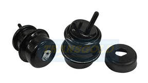 Engine Mount Lexus IS300 Mount LH/RH TEM4071 - Transgold | Universal Auto Spares