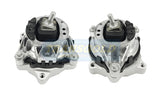 Engine Mount Front Right-Hand Fits BMW F30, F80 3 Series TEM4093 - Transgold | Universal Auto Spares