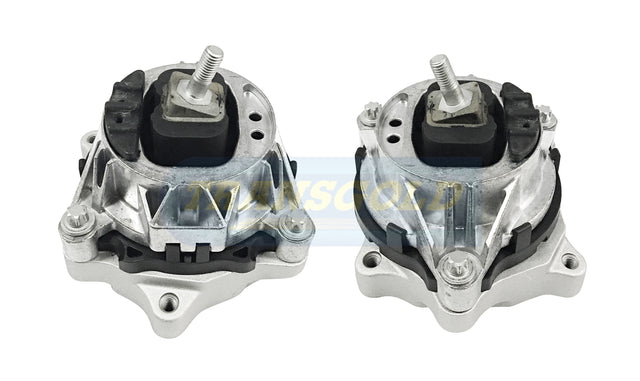 Engine Mount Front Right-Hand Fits BMW F30, F80 3 Series TEM4093 - Transgold | Universal Auto Spares