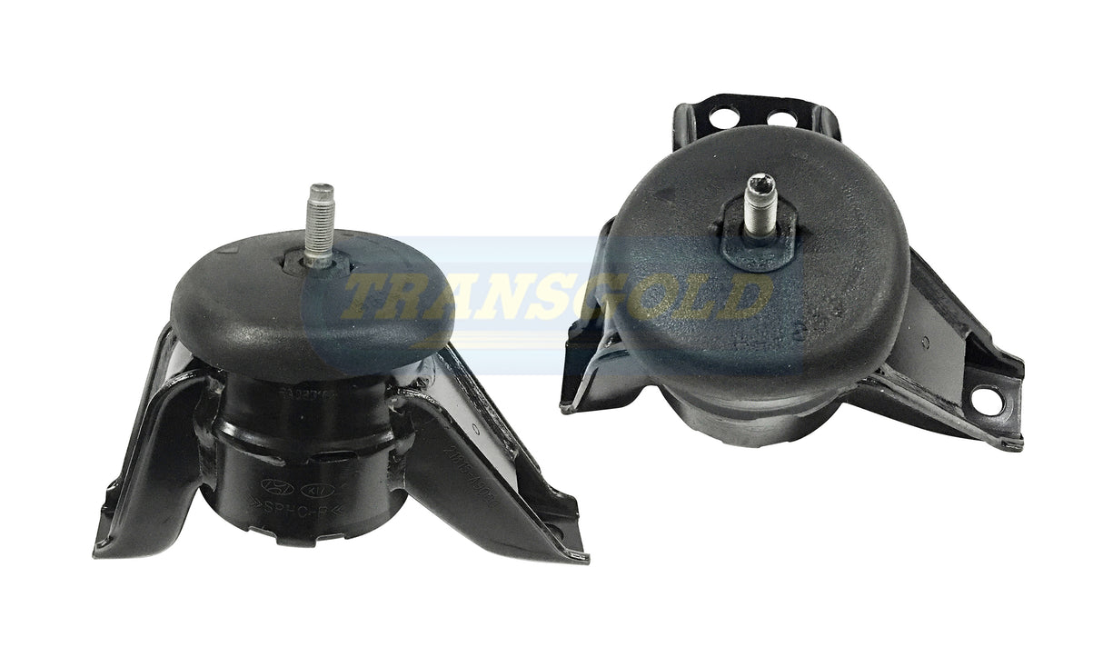 Engine Mount Fits Kia Carnival YP (02/15-09/20) RH TEM4132 - Transgold