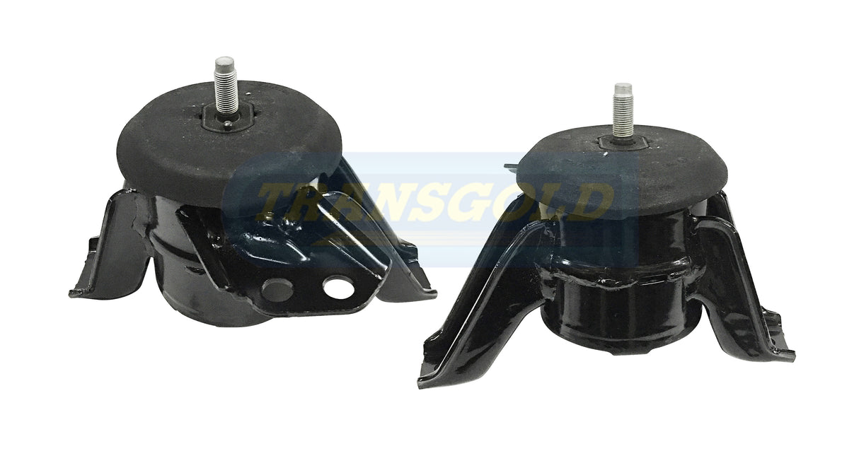 Engine Mount Fits Hyundai Santa Fe TM 2.4P (06/18-09/19) RH TEM4143 - Transgold
