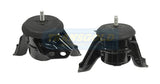 Engine Mount Fits Hyundai Santa Fe TM 2.4P (06/18-09/19) RH TEM4143 - Transgold | Universal Auto Spares