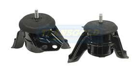 Engine Mount Fits Hyundai Santa Fe TM 2.4P (06/18-09/19) RH TEM4143 - Transgold | Universal Auto Spares