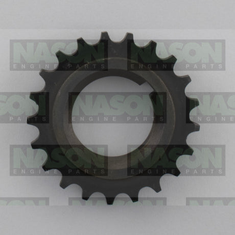 Oil Pump Gear S/S TO MATG29 TS1225 - Nason