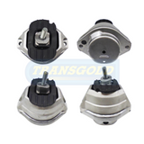 Engine Mount Fits BMW 540-550, 6 Series (E60-E64) LH Front TEM3739 - Transgold