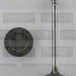 Valve Inlet FORD 351 WINDSOR 1.844 H/D V3926 - SEALED POWER