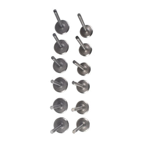 12 Pieces Intake Exhaust Valve Fit For Nissan TD42 4.2L 12V Diesel Patrol - Machter