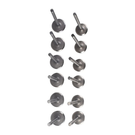 12 Pieces Intake Exhaust Valve Fit For Nissan TD42 4.2L 12V Diesel Patrol - Machter