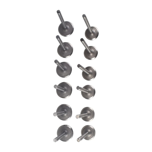 12 Pieces Intake Exhaust Valve Fit For Nissan TD42 4.2L 12V Diesel Patrol - Machter