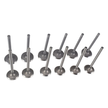12 Pieces Intake Exhaust Valve Fit For Nissan TD42 4.2L 12V Diesel Patrol - Machter