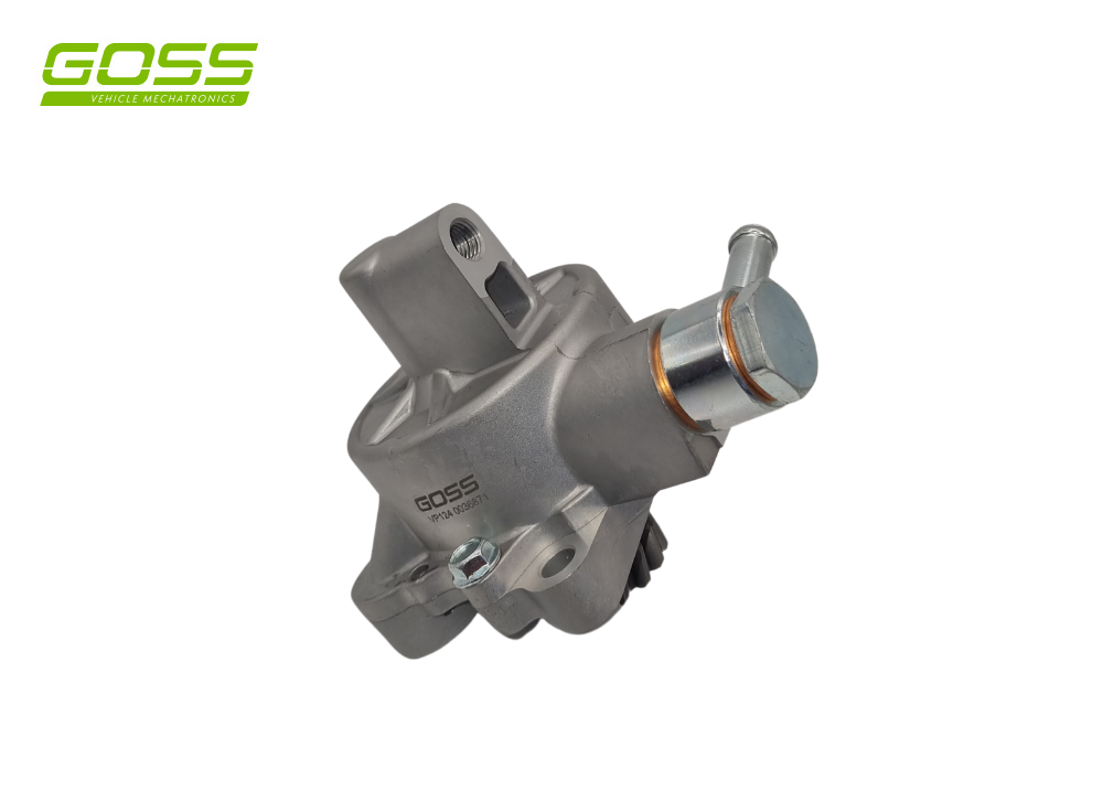Vacuum Pump Mitsubishi VP124 - Goss