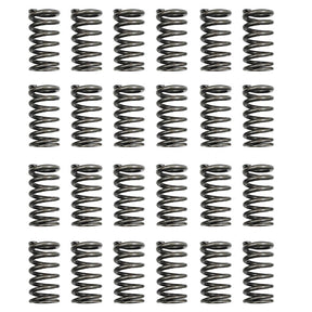 24 Pcs Performance Valve Springs Fit For Ford Falcon BA BF FG FGX Territory XR6 Barra 6cyl VS-001-24PCS - Machter