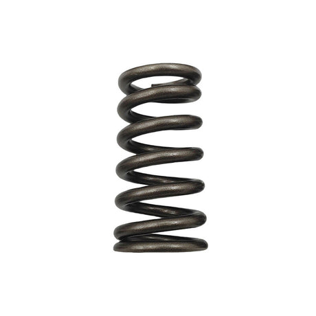 24 Pieces Performance Valve Springs Fit For Ford Falcon BA BF FG FGX Territory XR6 Barra 6cyl - Machter