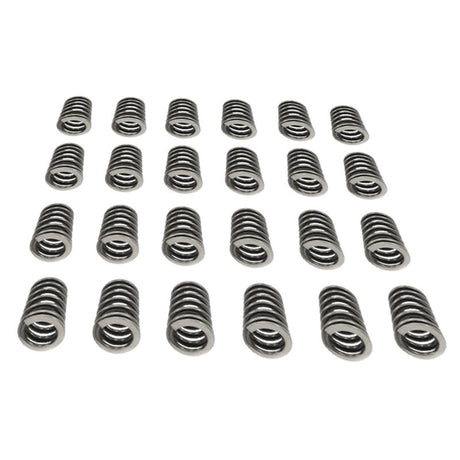 24 Pieces Performance Valve Springs Fit For Ford Falcon BA BF FG FGX Territory XR6 Barra 6cyl - Machter