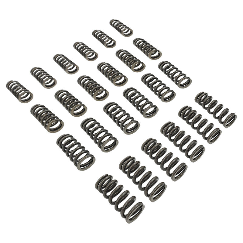 24 Pcs Performance Valve Springs Fit For Ford Falcon BA BF FG FGX Territory XR6 Barra 6cyl VS-001-24PCS - Machter