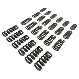 24 Pcs Performance Valve Springs Fit For Ford Falcon BA BF FG FGX Territory XR6 Barra 6cyl VS-001-24PCS - Machter