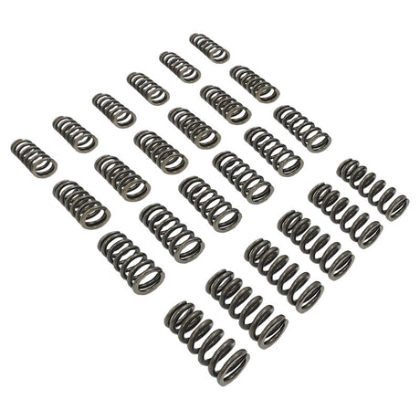 24 Pieces Performance Valve Springs Fit For Ford Falcon BA BF FG FGX Territory XR6 Barra 6cyl - Machter