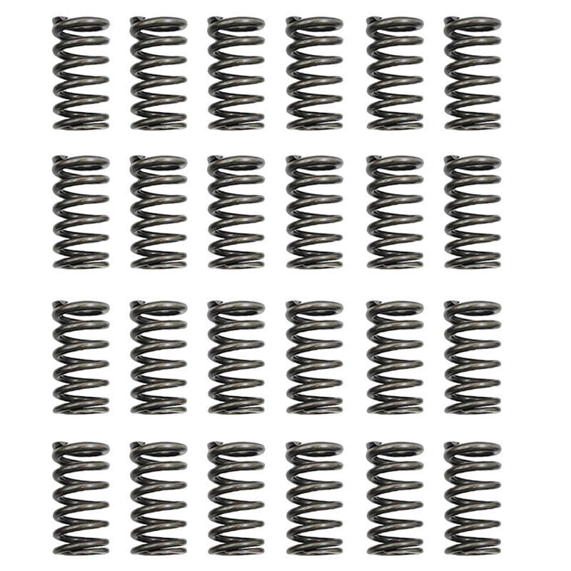 24 Pcs Performance Valve Springs Fit For Ford Falcon BA BF FG FGX Territory XR6 Barra 6cyl VS-001-24PCS - Machter
