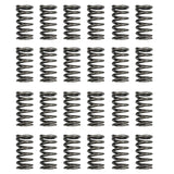 24 Pcs Performance Valve Springs Fit For Ford Falcon BA BF FG FGX Territory XR6 Barra 6cyl VS-001-24PCS - Machter