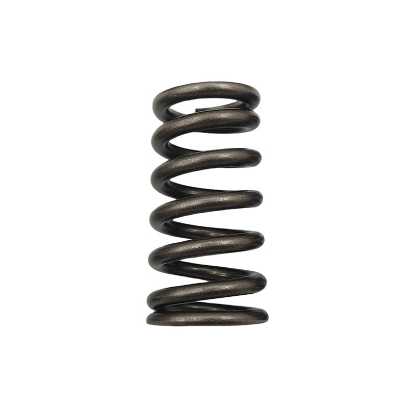 24 Pcs Performance Valve Springs Fit For Ford Falcon BA BF FG FGX Territory XR6 Barra 6cyl VS-001-24PCS - Machter
