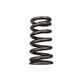 24 Pcs Performance Valve Springs Fit For Ford Falcon BA BF FG FGX Territory XR6 Barra 6cyl VS-001-24PCS - Machter