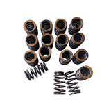 Valve Springs PAC-1218 Fit For GM LQ9 LQ4 LS LS1 LS3 LS6 LS2 4.8 5.3 6.0 6.2 .600" - Machter