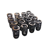Valve Springs PAC-1218 Fit For GM LQ9 LQ4 LS LS1 LS3 LS6 LS2 4.8 5.3 6.0 6.2 .600" - Machter