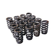 Valve Springs PAC-1218 Fit For GM LQ9 LQ4 LS LS1 LS3 LS6 LS2 4.8 5.3 6.0 6.2 .600" - Machter