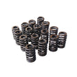 Valve Springs Ovate Beehive Series Fit For LS1 LS2 L98 LS3 V8 VT VX VY VZ VE V8 - Machter