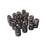 Valve Springs Ovate Beehive Series Fit For LS1 LS2 L98 LS3 V8 VT VX VY VZ VE V8 - Machter