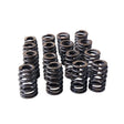 Valve Springs Ovate Beehive Series Fit For LS1 LS2 L98 LS3 V8 VT VX VY VZ VE V8 VS-1219 - Machter