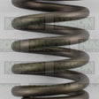 Valve Spring TOYOTA VALVE SPRING VS1000 - NASON